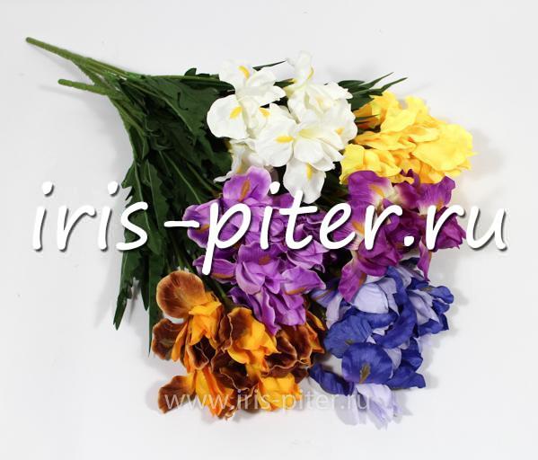 Букет ирис 7г
