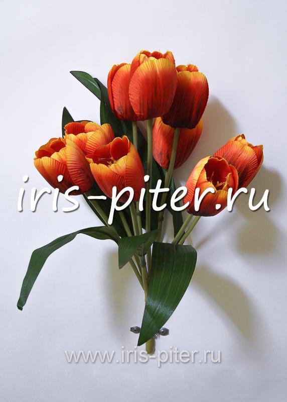 Букет тюльпан 9г 