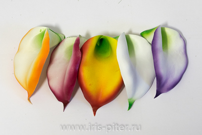 Ветка калла 5г