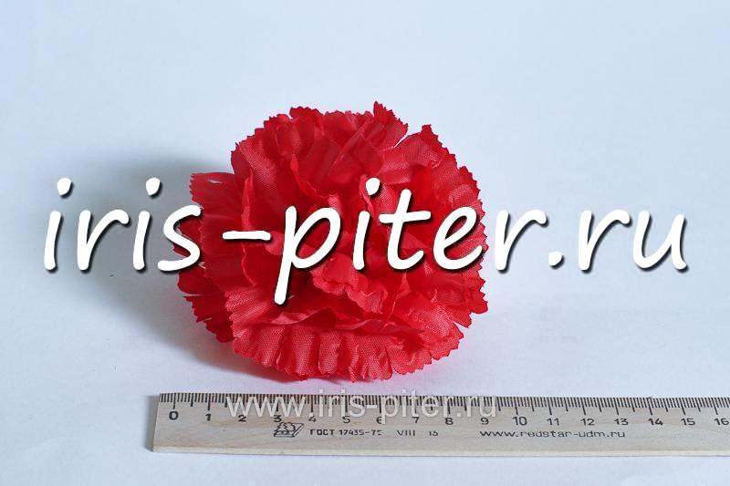 Голова гвоздика средняя