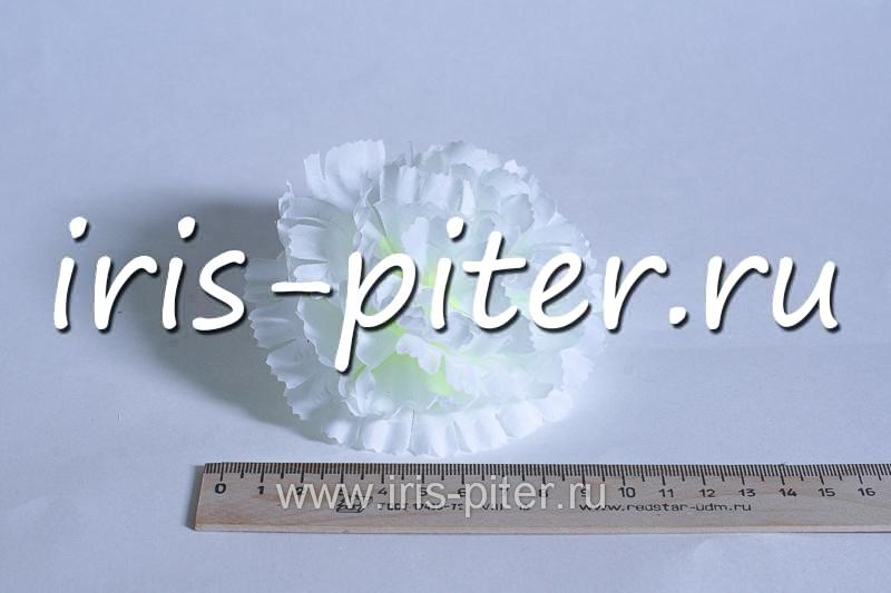 Голова гвоздика средняя