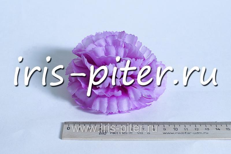 Голова гвоздика средняя