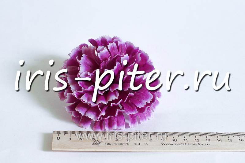 Голова гвоздика средняя