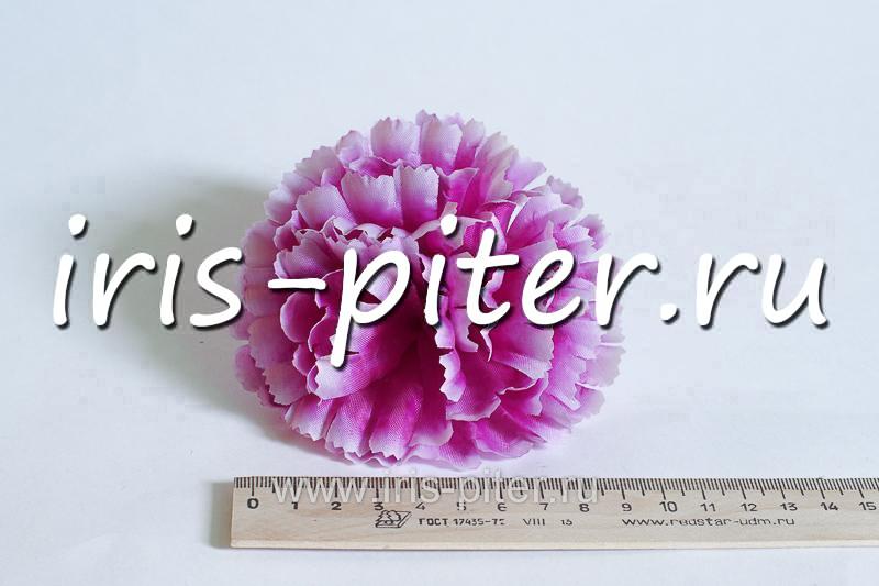 Голова гвоздика средняя