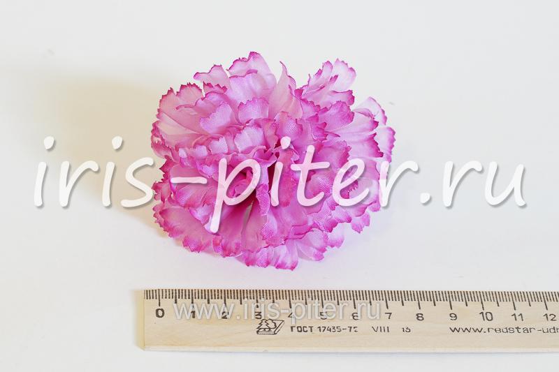 Голова гвоздики малой