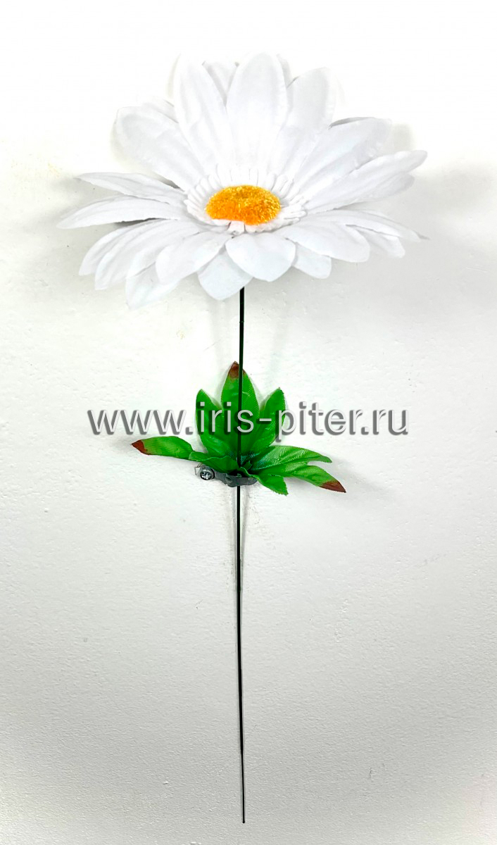 Ромашка одиночная