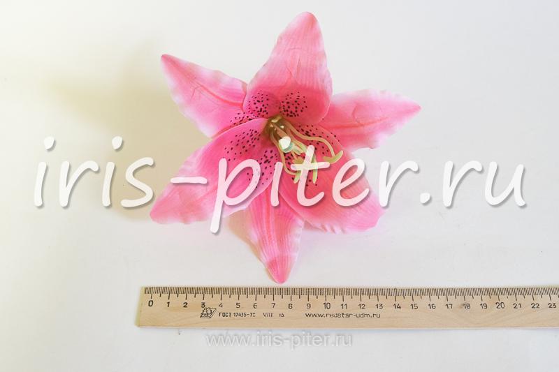 Голова лилии бархатной