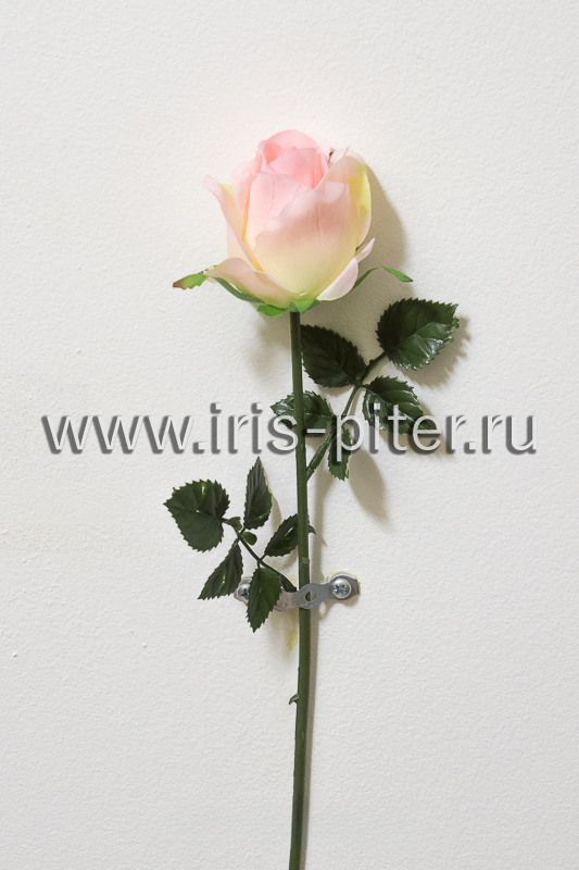 Роза одиночная с пластм листом