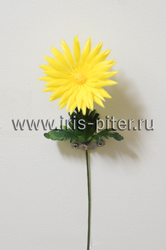 Астра одиночная сборная 