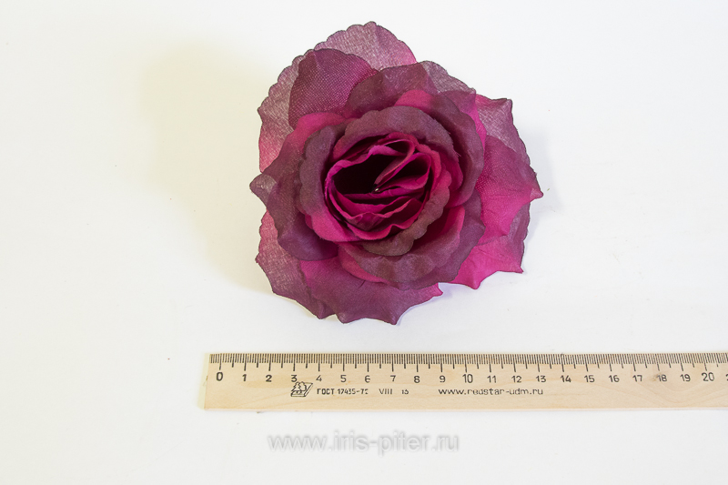 Голова розы "Красота" 