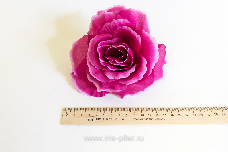 Голова розы "Красота" 