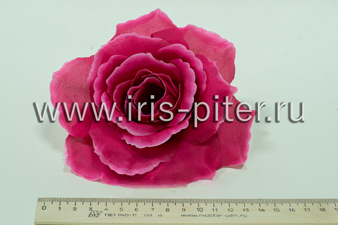 Голова розы "Красота" 