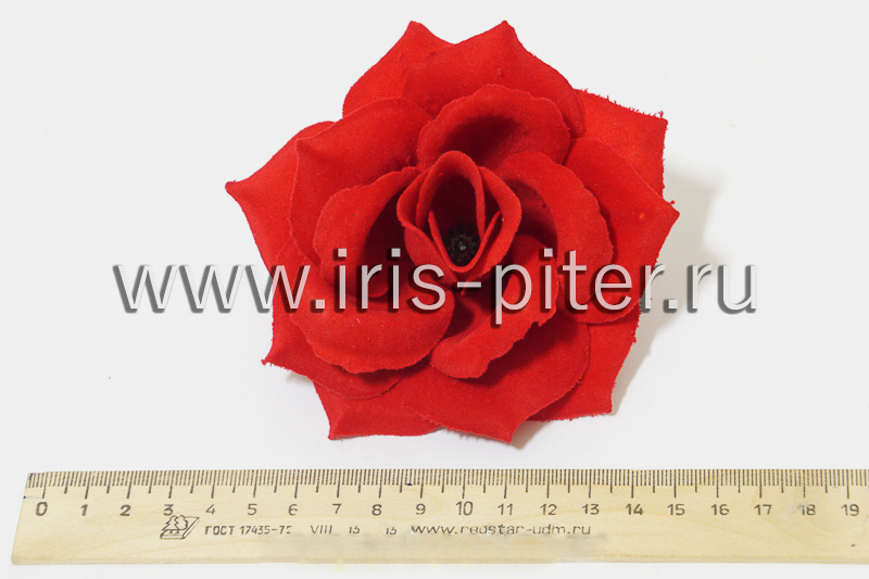 Голова розы бархатной средней 