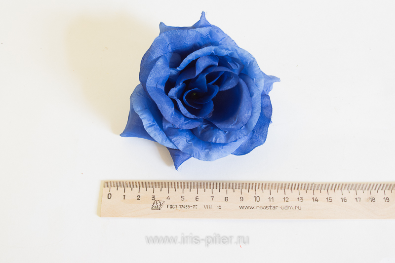 Голова розы "Лола"