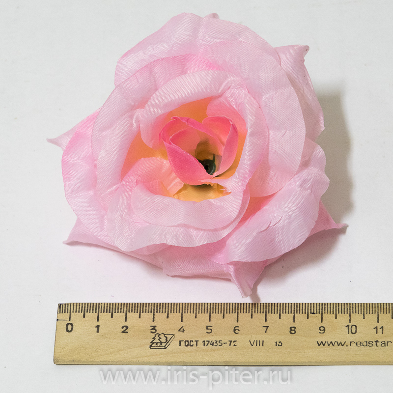 Голова розы "Лола"