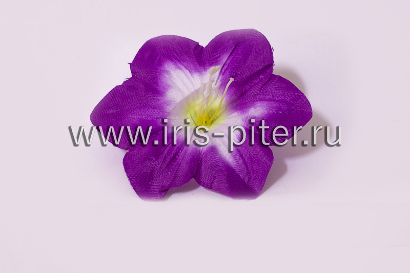 Голова клематиса 