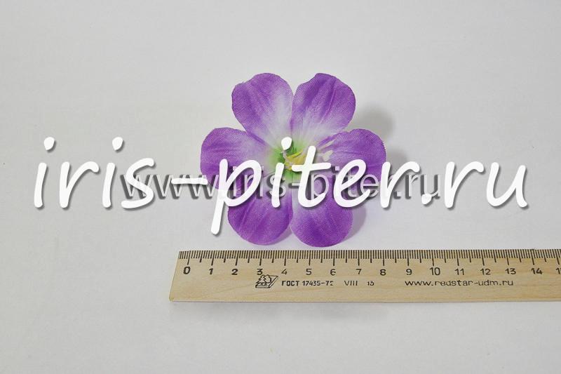 Голова мальвы