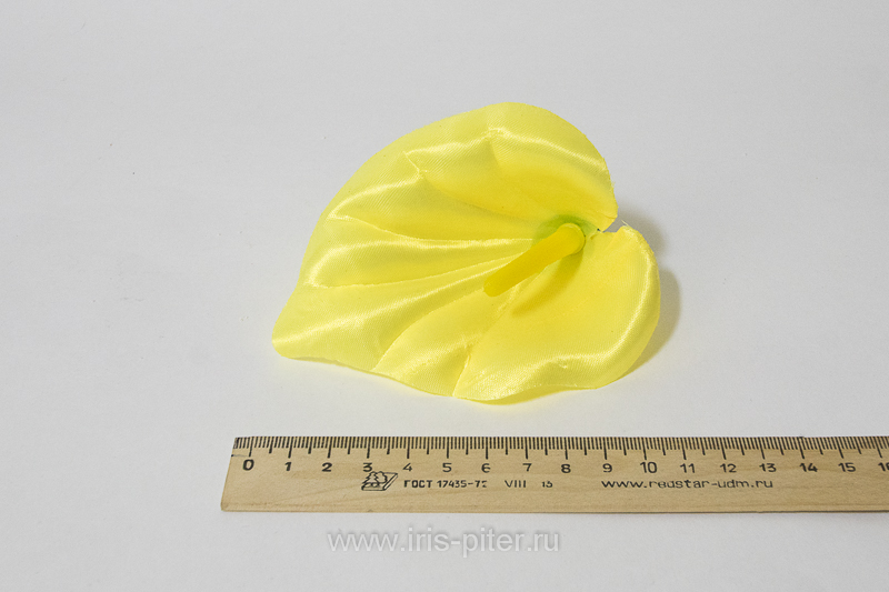 Голова калла атласная