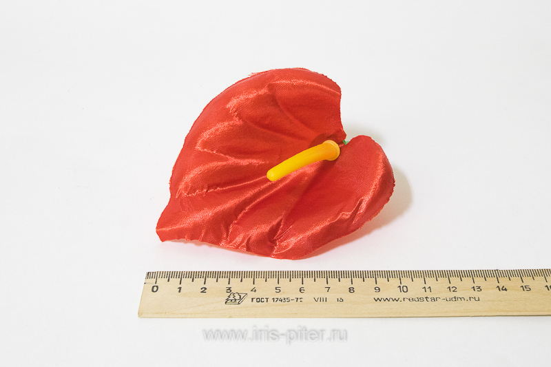 Голова калла атласная