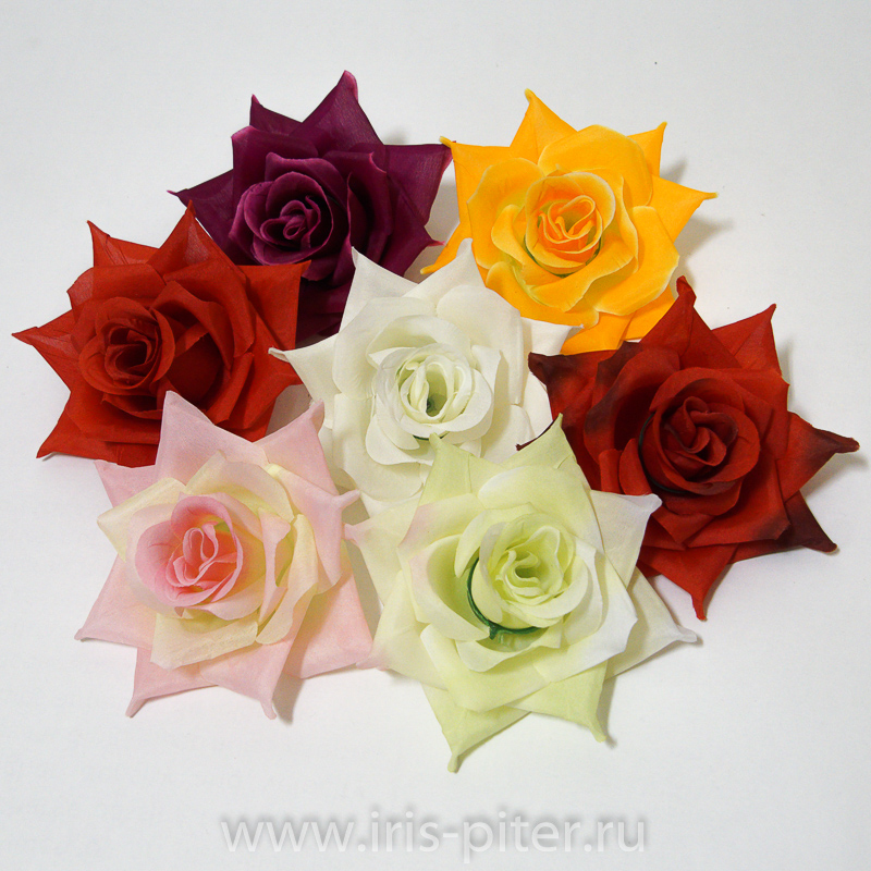 Голова розы «Стелла»