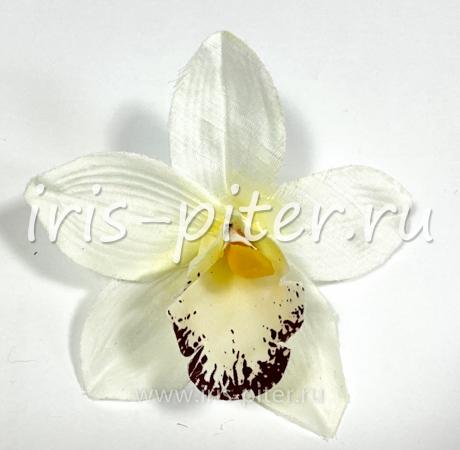 Голова орхидеи