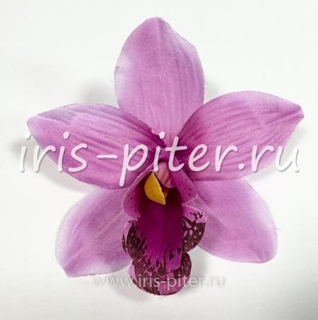 Голова орхидеи