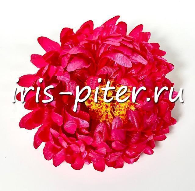 Голова хризантемы садовой