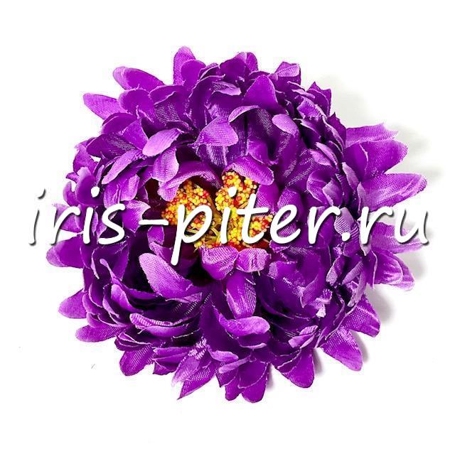 Голова хризантемы садовой