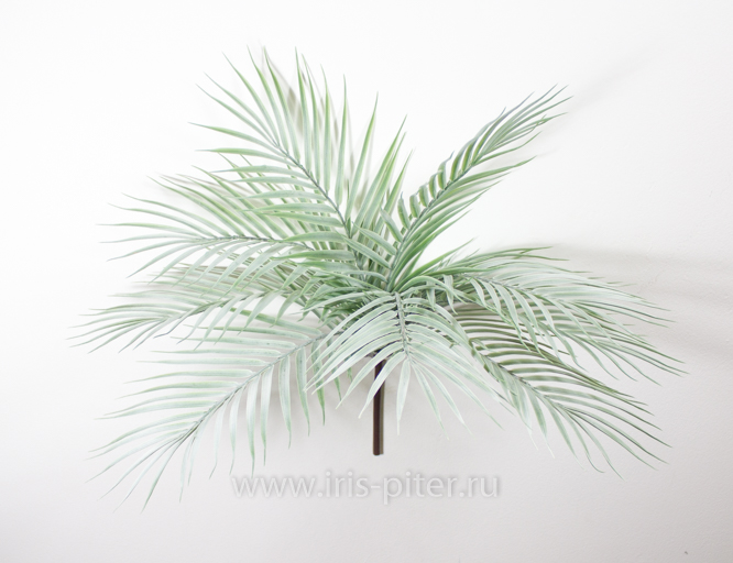 Пальма с напылением