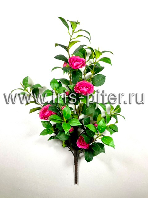 Дерево камелия маленькая малиновая