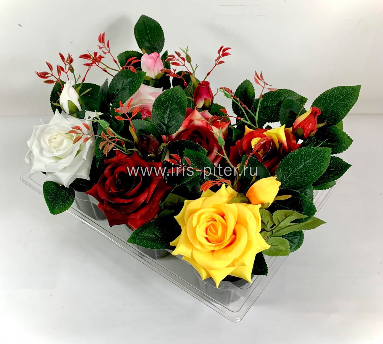 Набор роза 1г 1бут в горшке 