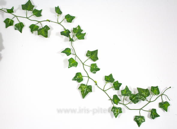 Лиана 12 веток плющ