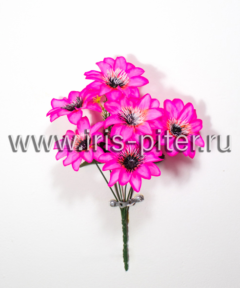 Букет георгин 6г черн ресничка