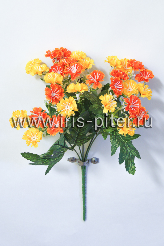 Букет каланхоэ 30г крупное 