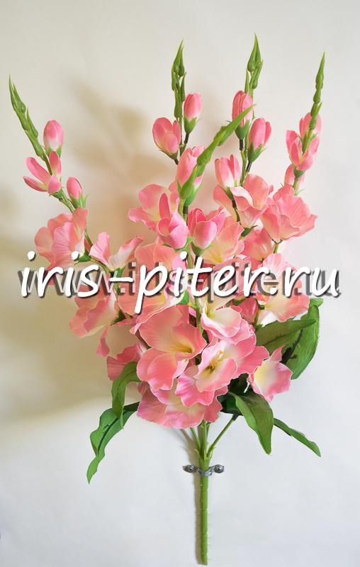 Букет гладиолус 5вет