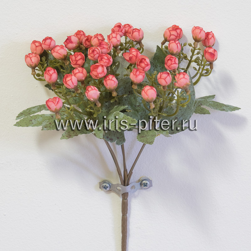 Букет камелия 36г 