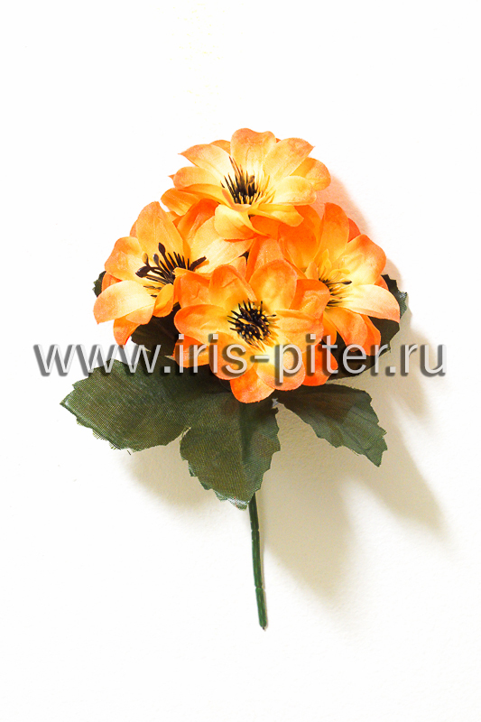 Букет георгин 5г чёрная серед