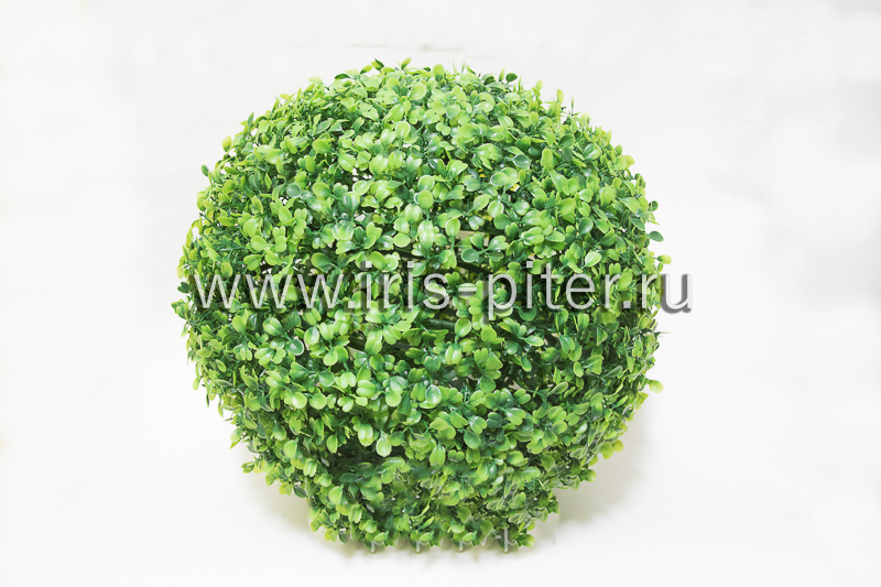 Шар самшитовый d35