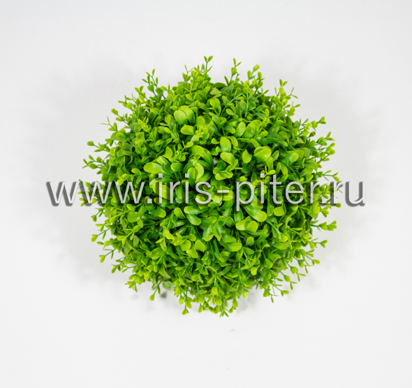 Шар самшит средний