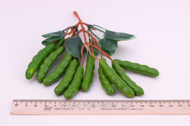 Горох мелкий ветка 