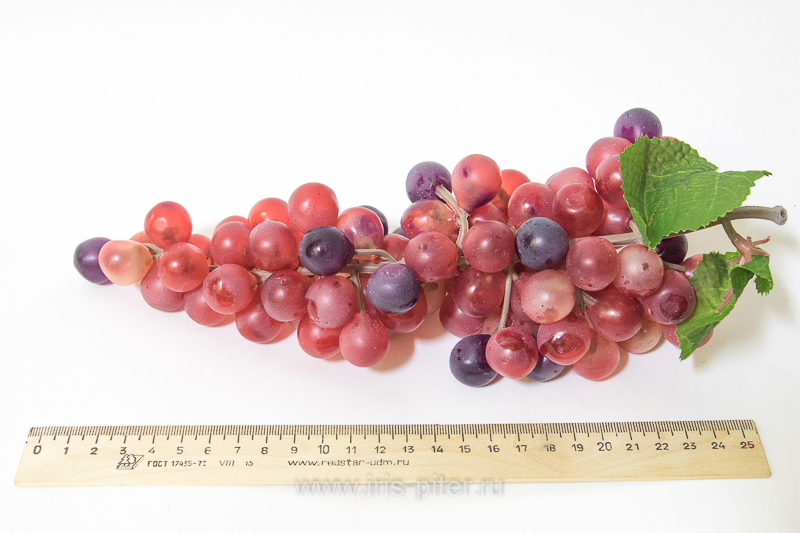 Виноград круглый