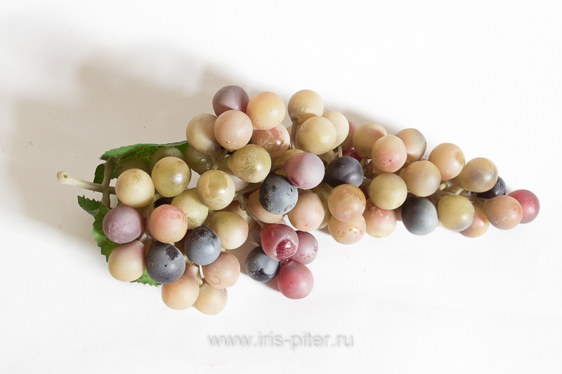 Виноград круглый