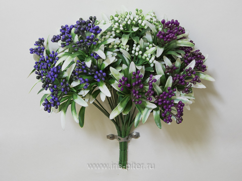 Хлорофитум цветущий 