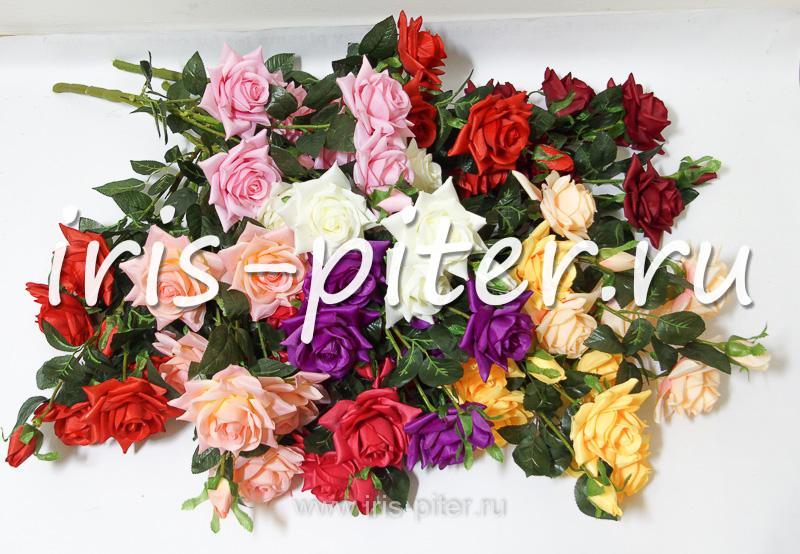 Роза горшечная 6г 2бут