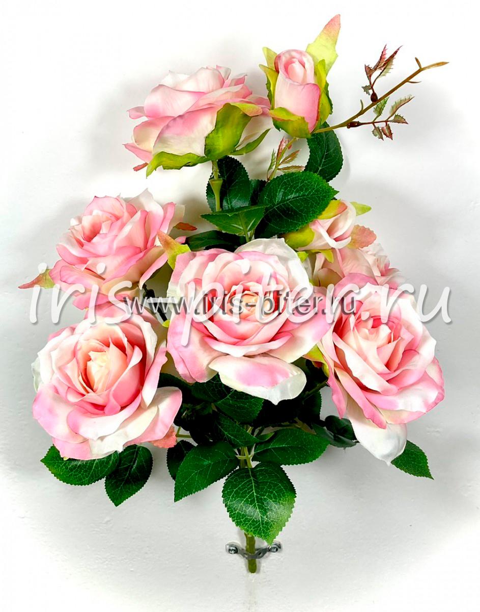 Букет роза 6г 2бут