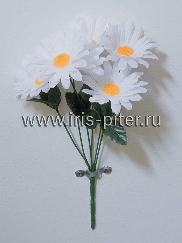 Букет ромашка 6г 