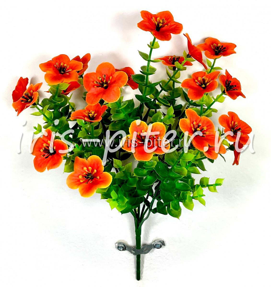 Букет самшит цветущий 5вет 25г