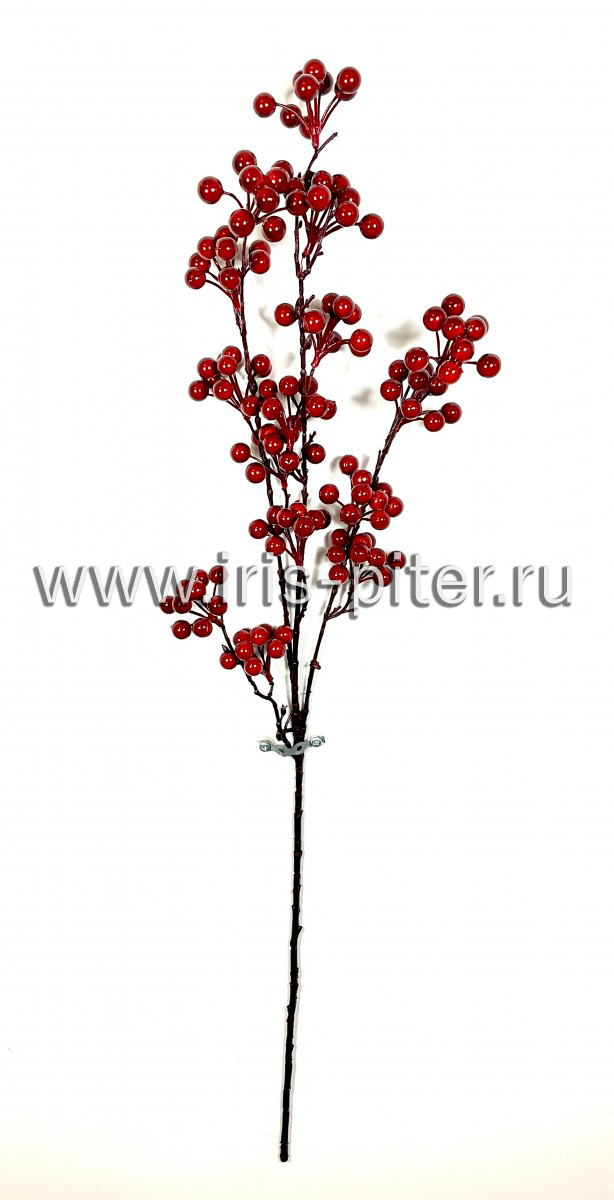 Ветка ягоды зонтик высокая