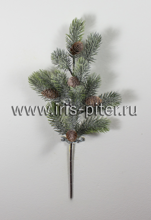 Ветка елка в инее 5 шишек