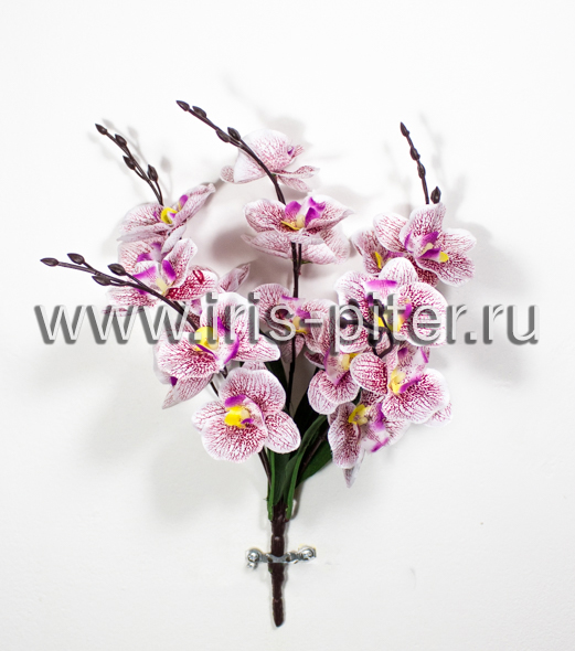 Букет орхидея 5вет 